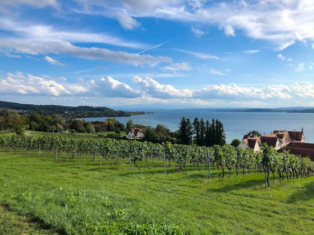 Bild Beste Reisezeit Bodensee