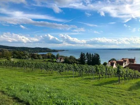 Bild Beste Reisezeit Bodensee
